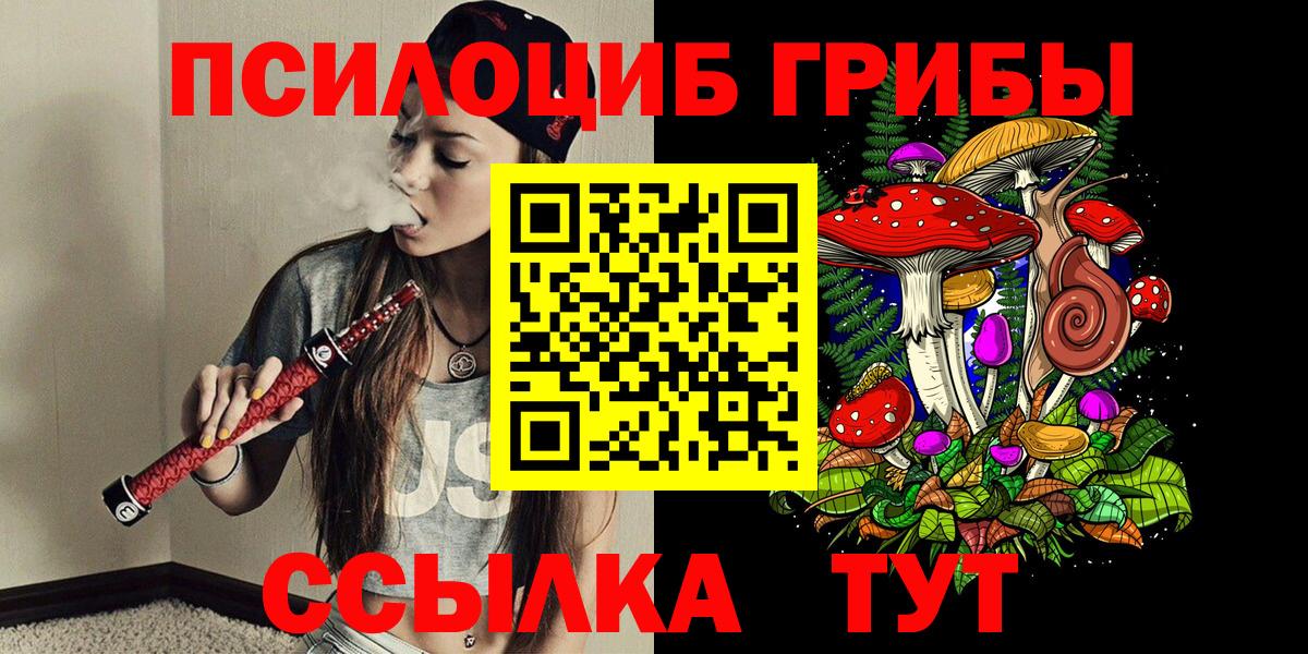 Тихорецк  закладки  Вход с VPN  Галлюциногенные грибы MAGIC MUSHROOMS 